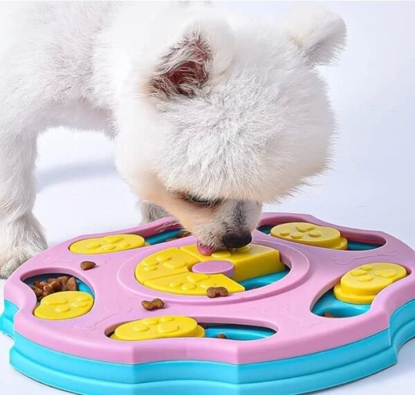 Pet Educational Toys