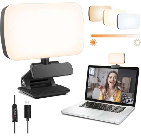 Video conference lights