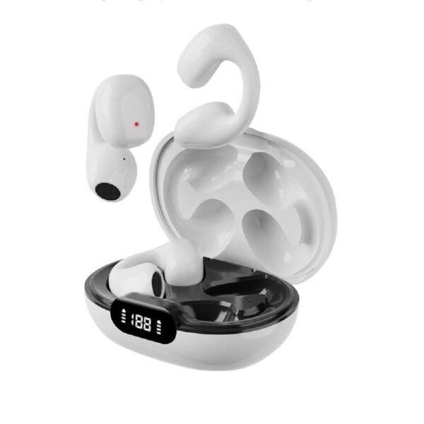 Earbuds
