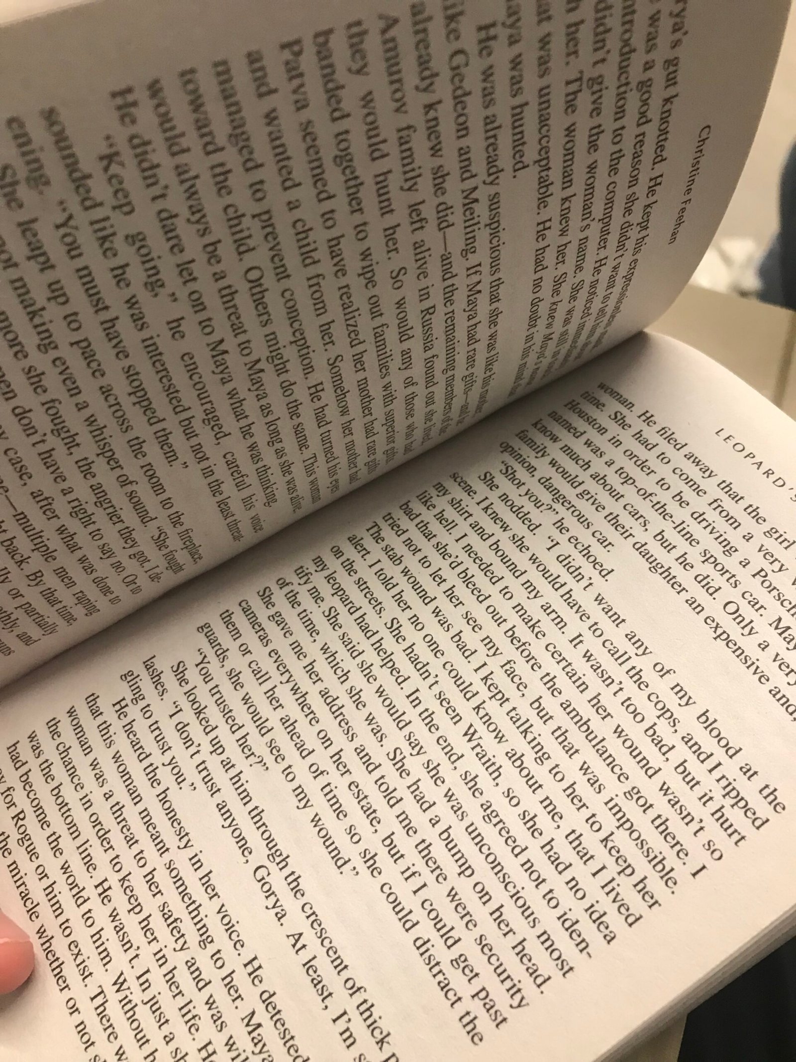 Christine Feehan Leopards hunt – - Image 3